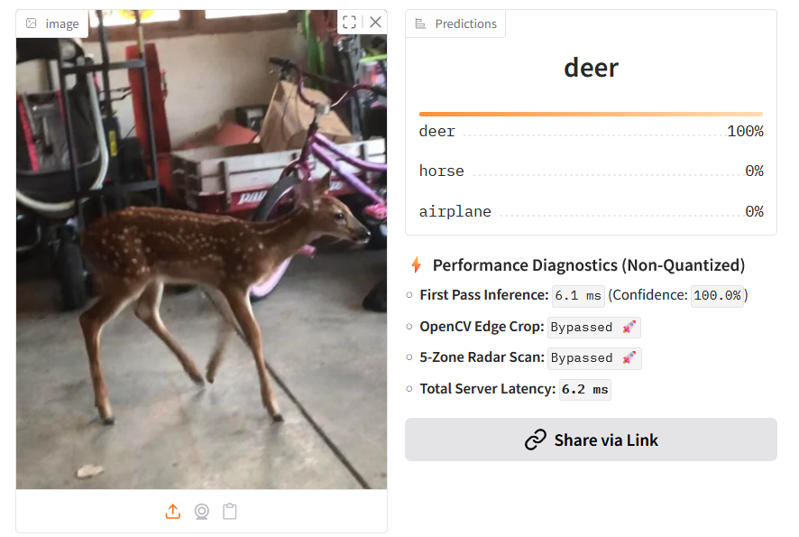 Part 1: Designing an Edge AI Vision Classifier for Farm Security